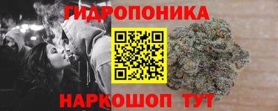 индика Наро-Фоминск