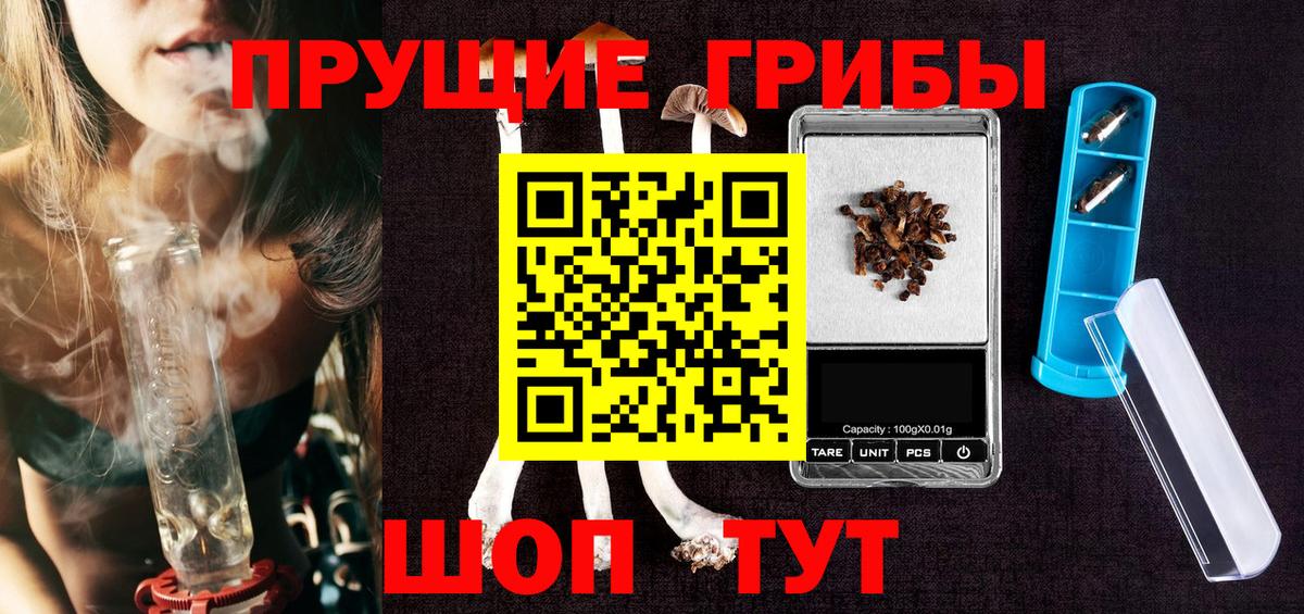 Галлюциногенные грибы Psilocybine cubensis Саров