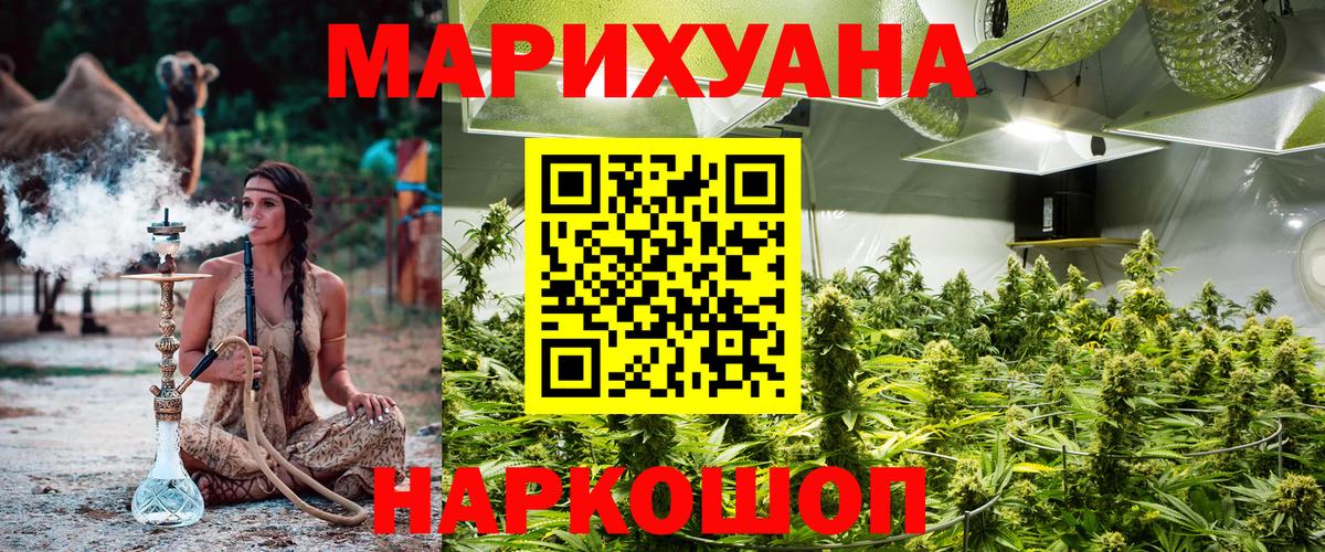 Конопля OG Kush  Вход с VPN  Саров  Каннабис план 